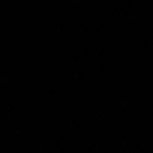 Meet your Posher, Joshua